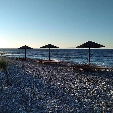 Despoina Seaside Apartment Агиос-Константинос Экстерьер фото